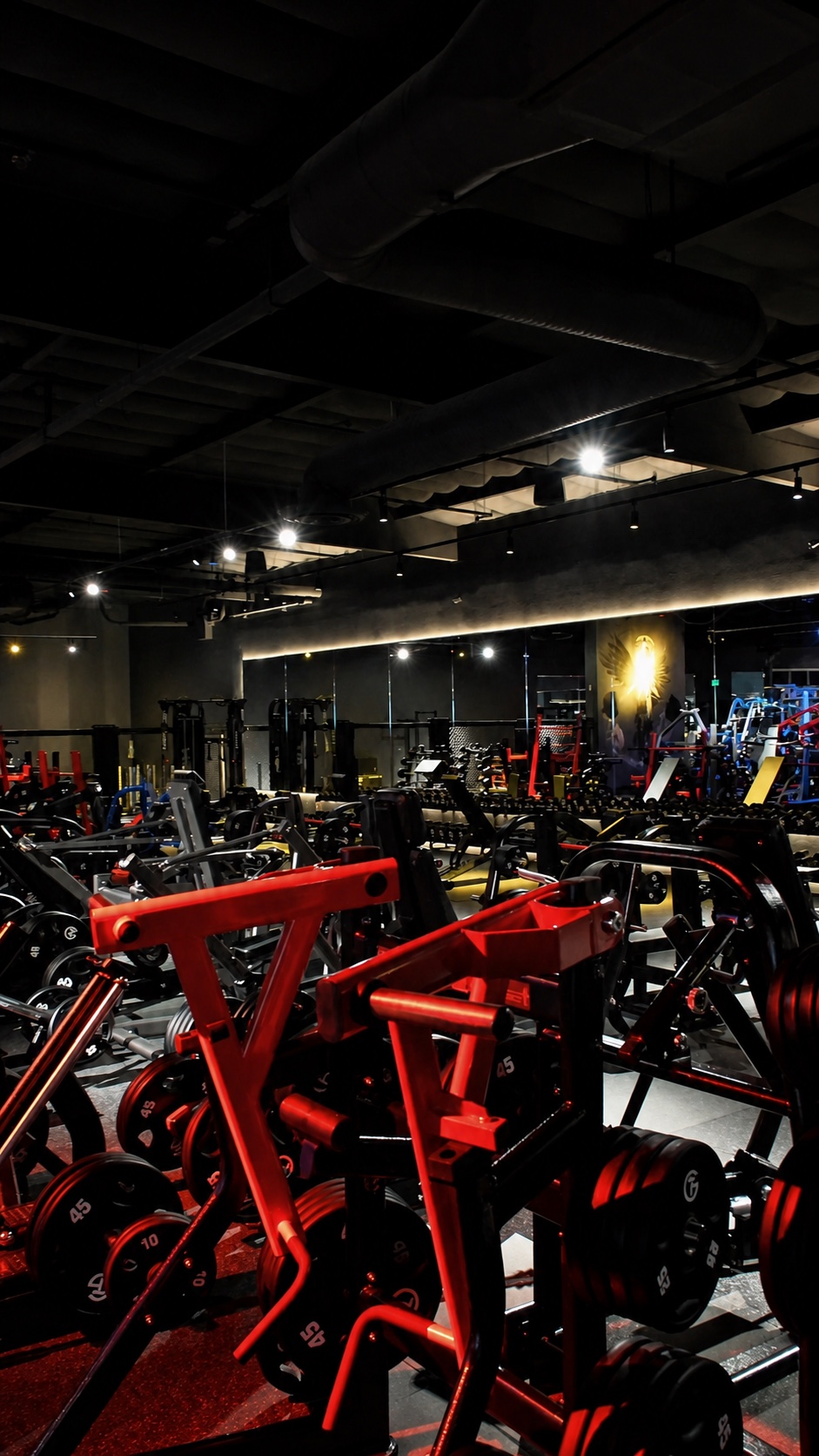 THE GYM Rancho Bernardo training floor.