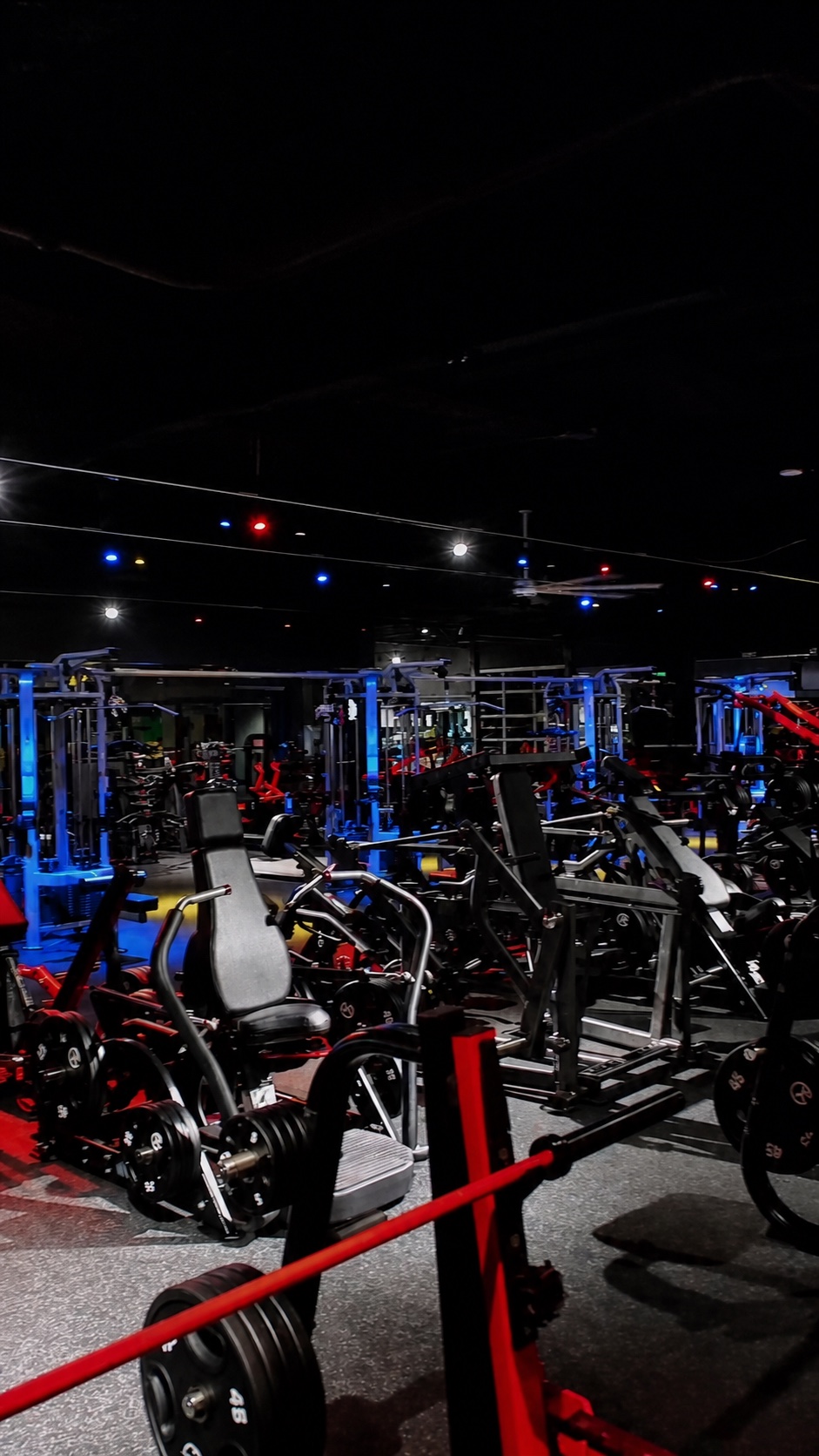 Strength equipment on the current THE GYM Rancho Bernardo floor.